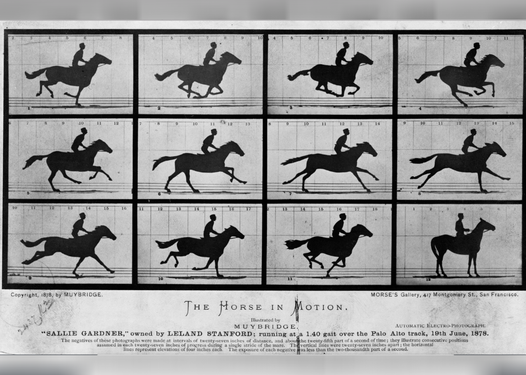 Eadweard Muybridge captures motion